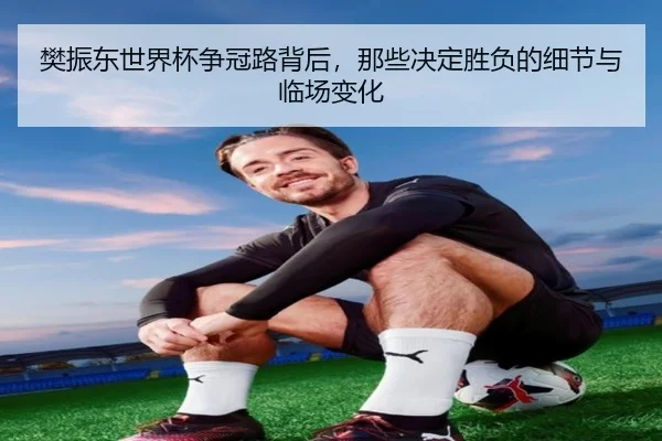 樊振东世界杯争冠路背后，那些决定胜负的细节与临场变化（yuntiyu）